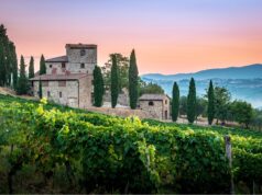 Best Wineries & Vineyards in Lake Garda Best Wineries & Vineyards in Lake Garda