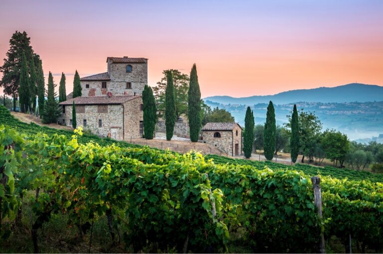 Best Wineries & Vineyards in Lake Garda